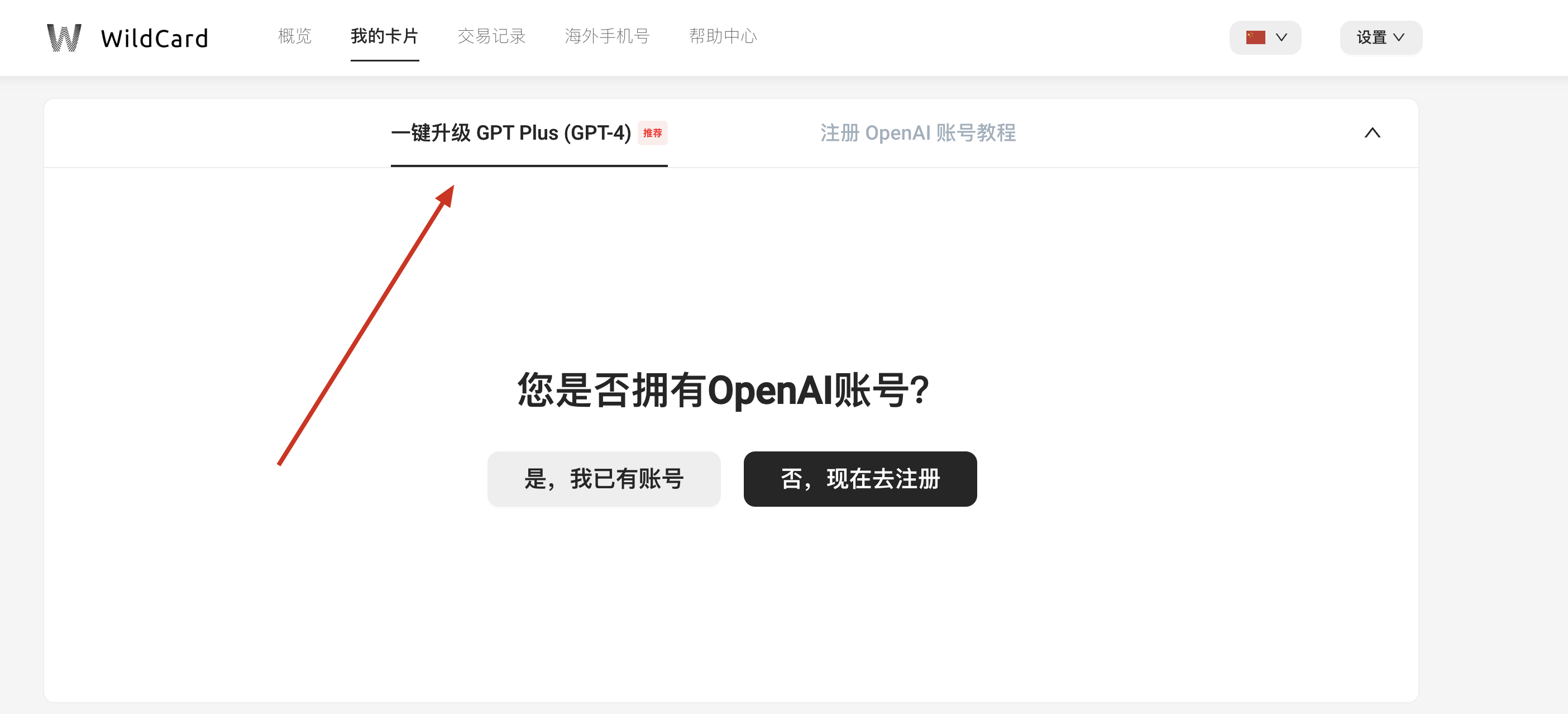 Chatgpt Plus订阅终极指南：用Wildcard一分钟搞定