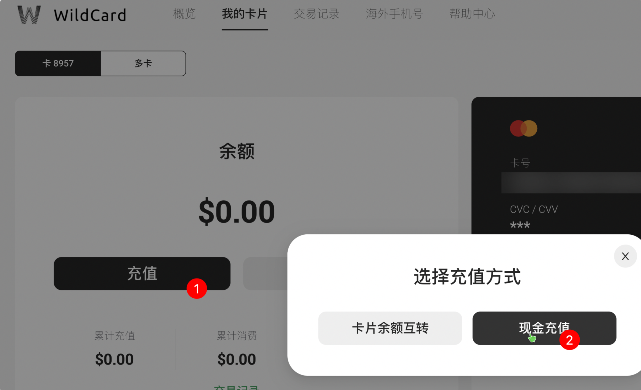 Chatgpt Plus订阅终极指南：用Wildcard一分钟搞定